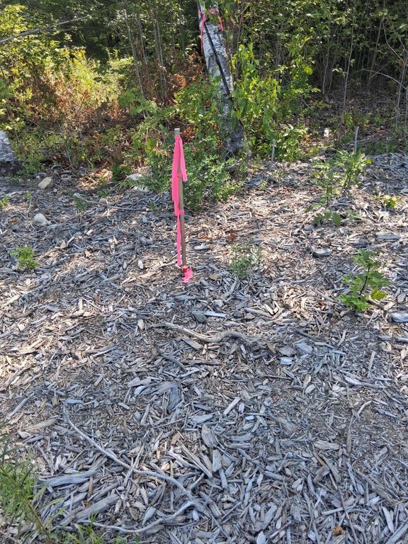 TBD Dingley Road, Bowdoinham, ME 04008 — photo 4