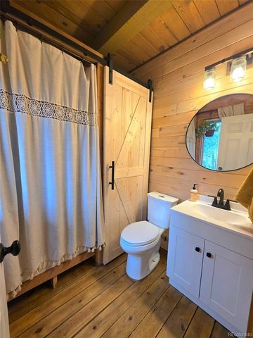 253 Bear Lane, Jefferson, CO 80456