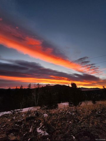 253 Bear Lane, Jefferson, CO 80456