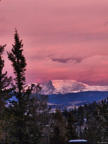 253 Bear Lane, Jefferson, CO 80456