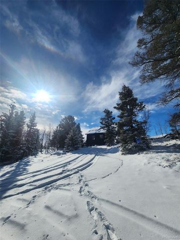 253 Bear Lane, Jefferson, CO 80456