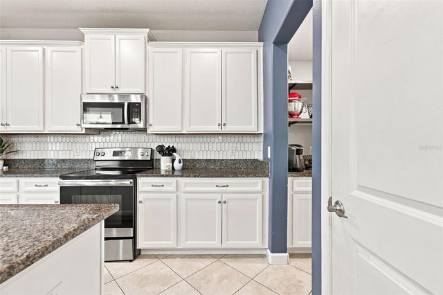 3207 PAINTED BLOSSOM COURT, Lutz, FL 33558