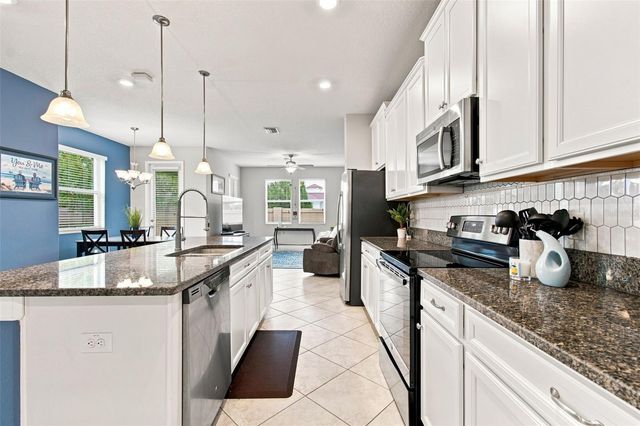 3207 PAINTED BLOSSOM COURT, Lutz, FL 33558