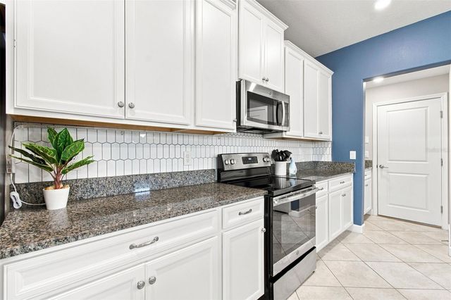 3207 PAINTED BLOSSOM COURT, Lutz, FL 33558