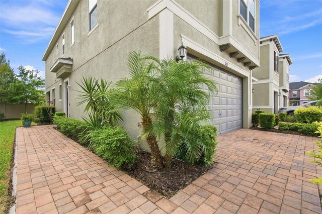 3207 PAINTED BLOSSOM COURT, Lutz, FL 33558