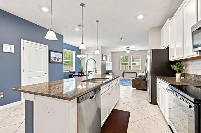 3207 PAINTED BLOSSOM COURT, Lutz, FL 33558