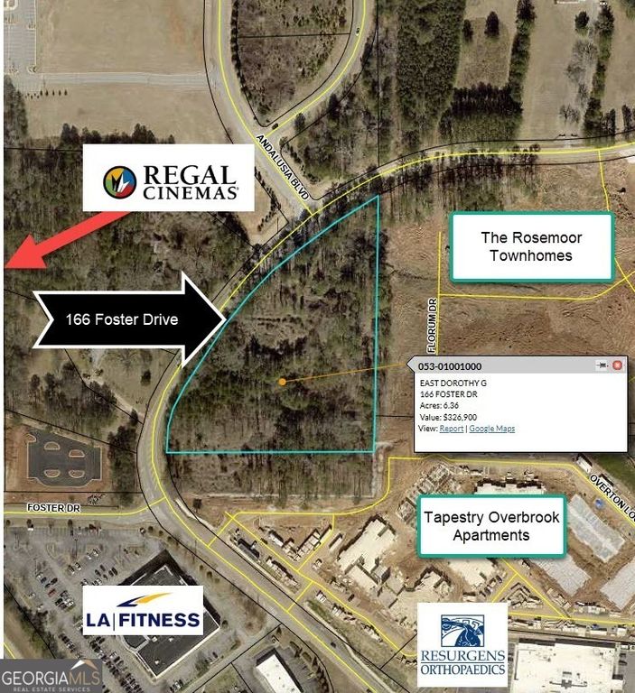 166 Foster Drive, Mcdonough, GA 30253