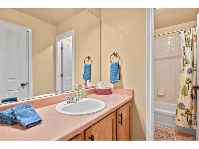 4020 Brushwood Way, Castle Rock, CO 80109