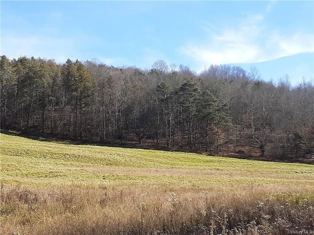 7 McColly Road, Fremont, NY 12736
