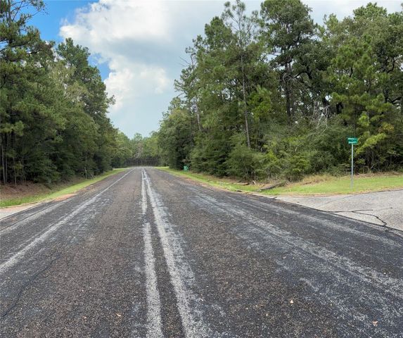 TBD Ash Ct 2, Huntsville, TX 77320