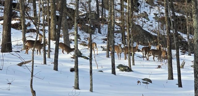 550 Leech Dr., Shirley, AR 72153