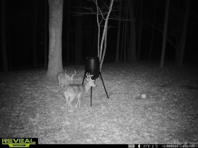 550 Leech Dr., Shirley, AR 72153