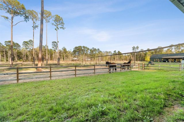 10202 Woodlane Boulevard, Magnolia, TX 77354