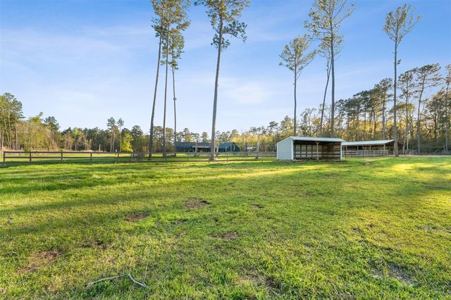 10202 Woodlane Boulevard, Magnolia, TX 77354