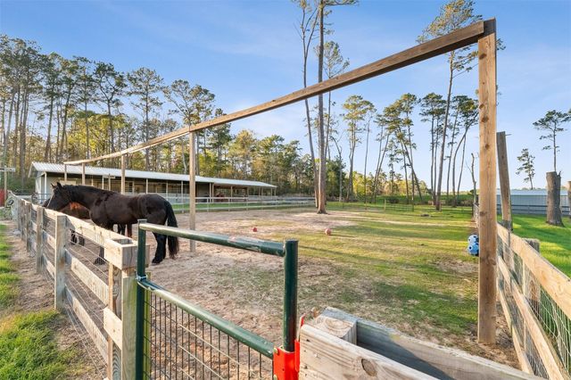 10202 Woodlane Boulevard, Magnolia, TX 77354