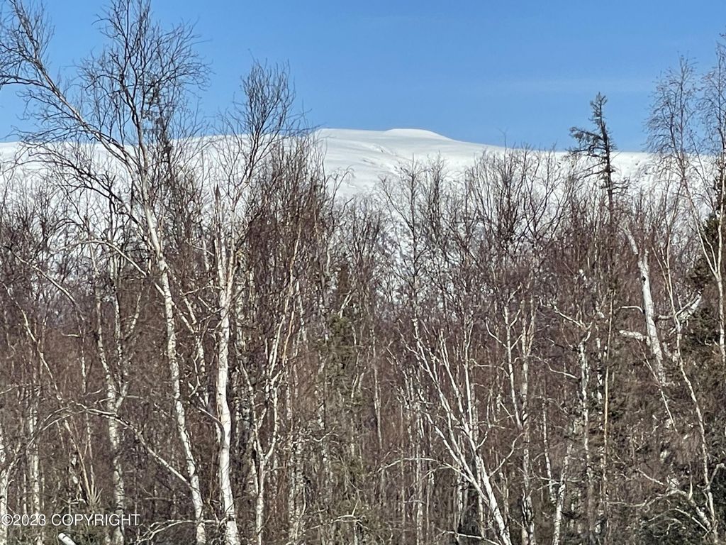 2541 W Longview Circle, Wasilla, AK 99654