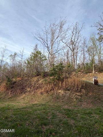 956 Street Of Dreams Way, Gatlinburg, TN 37738