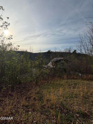 956 Street Of Dreams Way, Gatlinburg, TN 37738