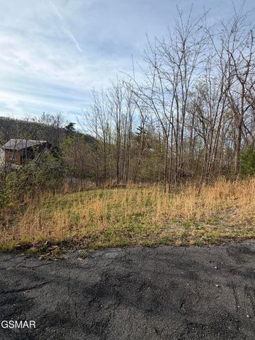 956 Street Of Dreams Way, Gatlinburg, TN 37738