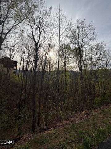 956 Street Of Dreams Way, Gatlinburg, TN 37738
