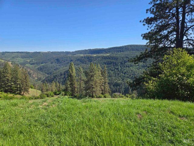 7329 Upper Fords Creek, Orofino, ID 83544