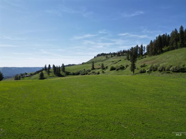 7329 Upper Fords Creek, Orofino, ID 83544