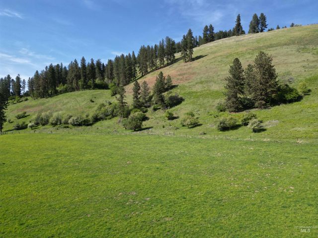 7329 Upper Fords Creek, Orofino, ID 83544