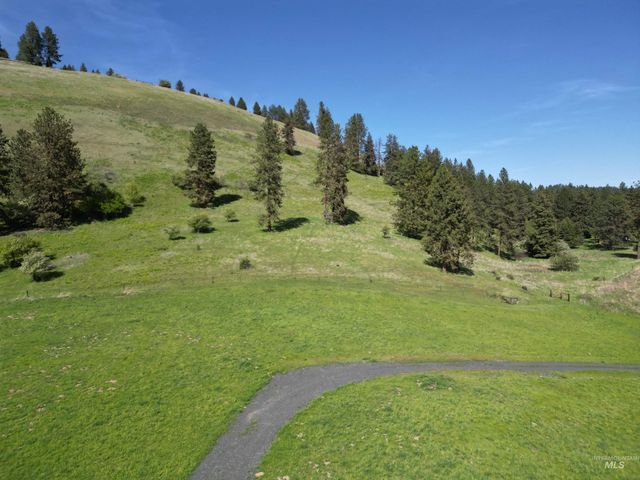 7329 Upper Fords Creek, Orofino, ID 83544