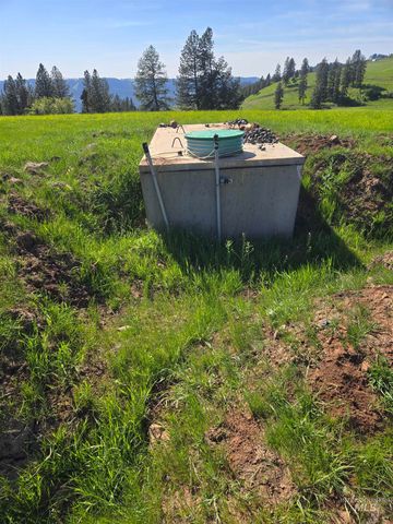 7329 Upper Fords Creek, Orofino, ID 83544