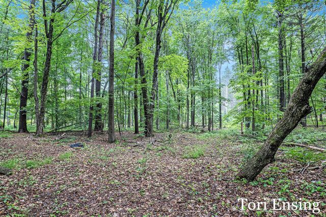 4366 W Woods Road, Sidney, MI 48885