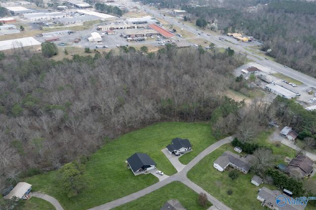 6400 Dalewood Lane, Guntersville, AL 35976