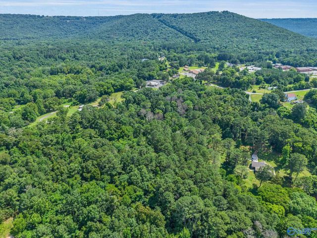 9 Acres Hough Road, Laceys Spring, AL 35754