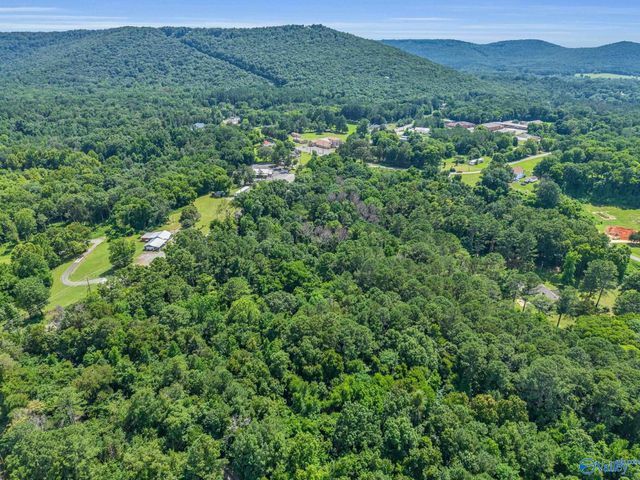9 Acres Hough Road, Laceys Spring, AL 35754