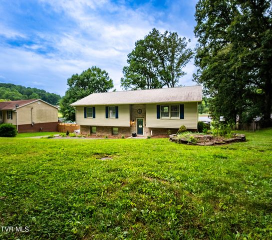 117 Kings Mountain Drive, Church Hill, TN 37642