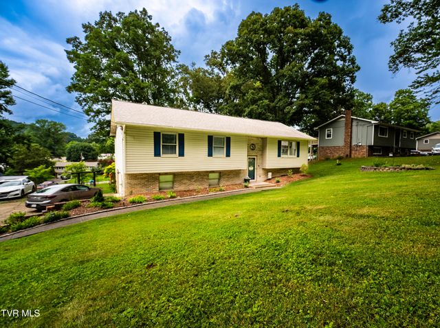117 Kings Mountain Drive, Church Hill, TN 37642