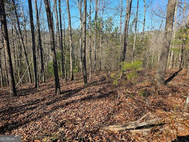 1.16 Marie Drive 1802B, Talking Rock, GA 30175