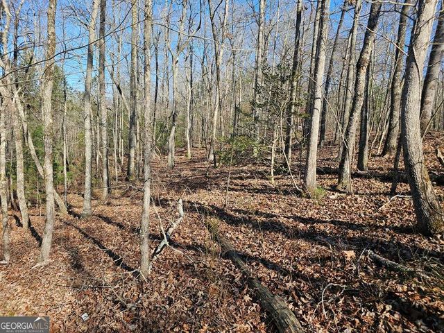 1.16 Marie Drive 1802B, Talking Rock, GA 30175