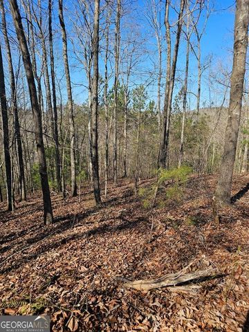 1.16 Marie Drive 1802B, Talking Rock, GA 30175