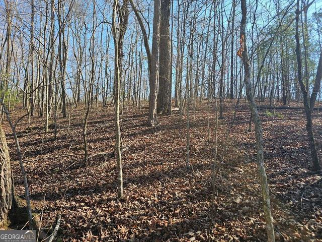 1.16 Marie Drive 1802B, Talking Rock, GA 30175