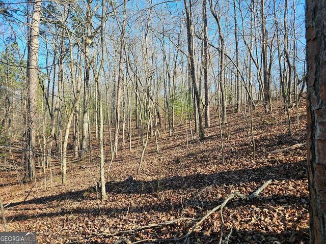 1.16 Marie Drive 1802B, Talking Rock, GA 30175