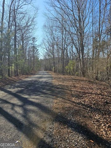 1.16 Marie Drive 1802B, Talking Rock, GA 30175