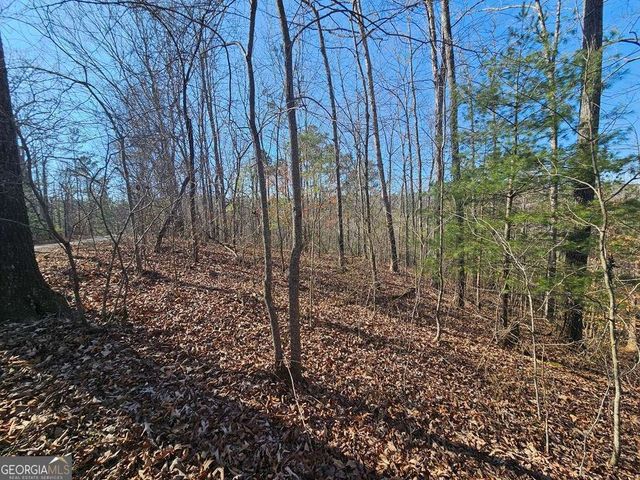 1.16 Marie Drive 1802B, Talking Rock, GA 30175