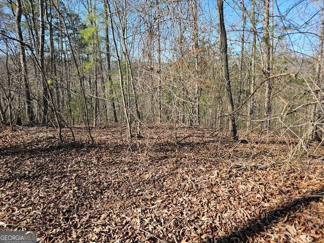 1.16 Marie Drive 1802B, Talking Rock, GA 30175