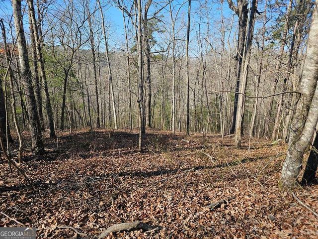 1.16 Marie Drive 1802B, Talking Rock, GA 30175