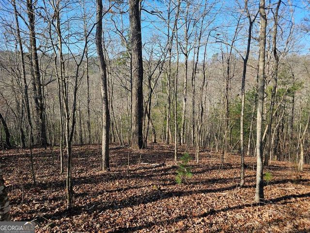 1.16 Marie Drive 1802B, Talking Rock, GA 30175