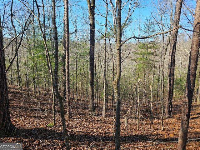 1.16 Marie Drive 1802B, Talking Rock, GA 30175