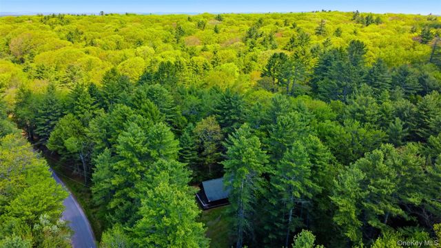 301 Pucky Huddle Road, Bethel, NY 12720