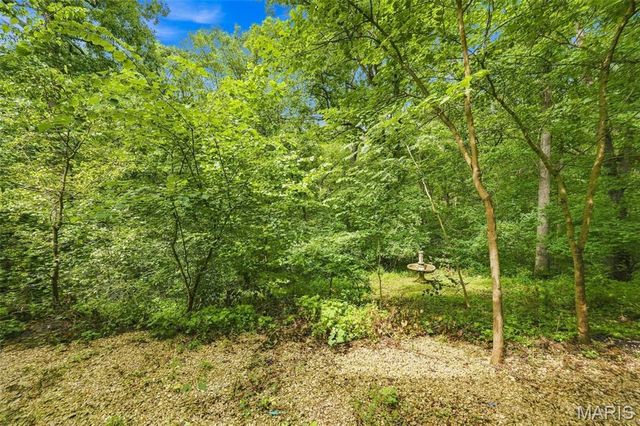 19111 Foxfire Forest Road, Wildwood, MO 63069
