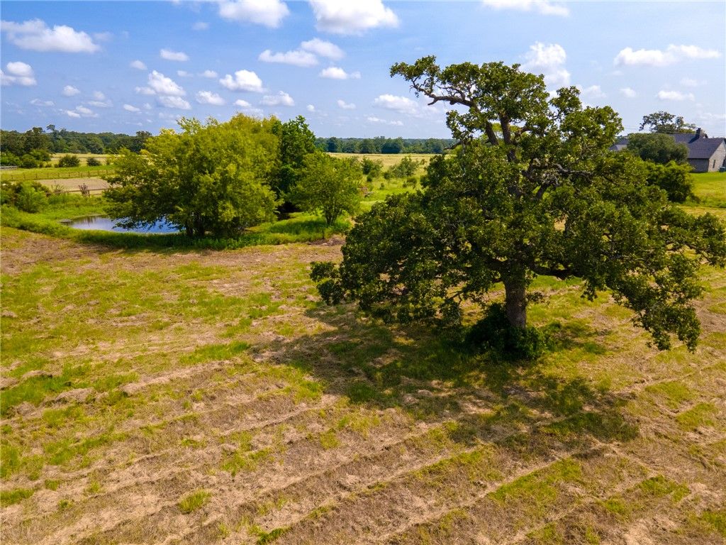 0000 Scarborough Drive, Iola, TX 77861 — photo 2