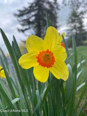 16 Hawkins RD, Sagle, ID 83860